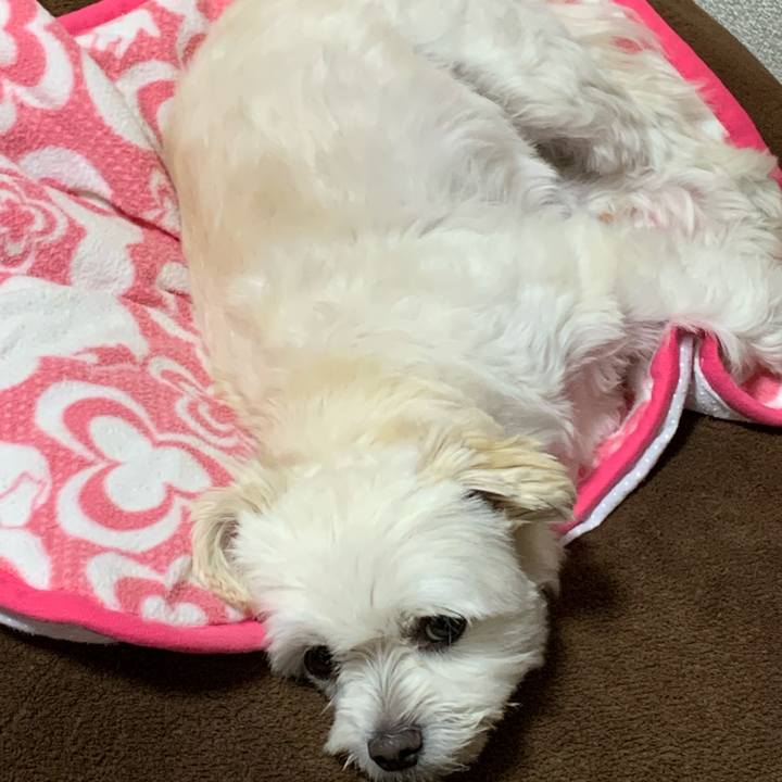 4cbdcdfa 1ab5 4d5c aeba b8c0e7b781f8 1635422192858