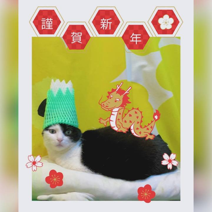 4cbe1966 5856 4e82 9103 1db499bd66a5 1704037552154