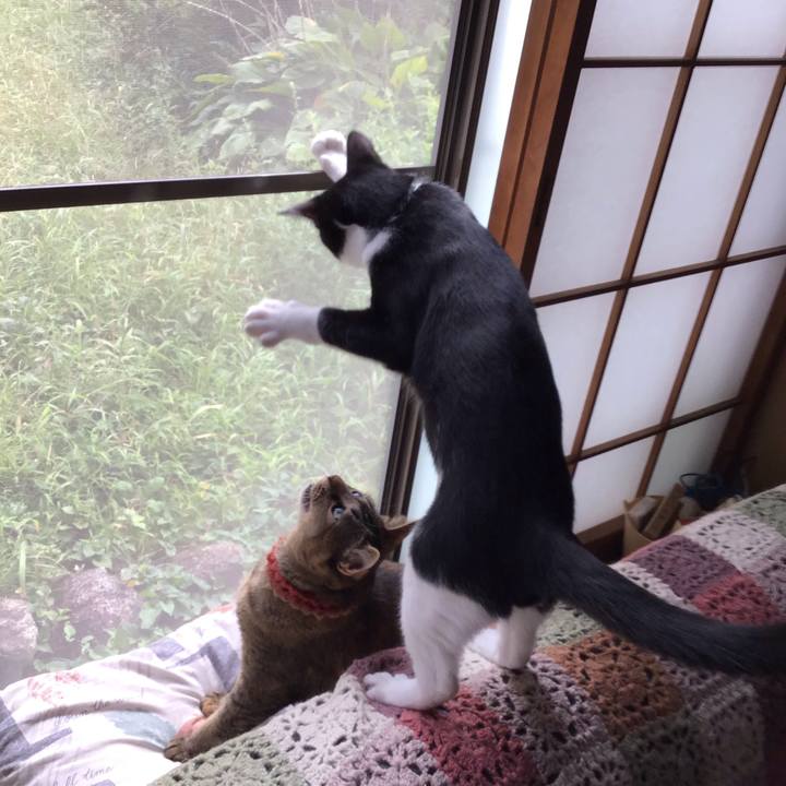 4cbe284f 8ccc 4ce6 95f5 454bda2534c7 1632277250706