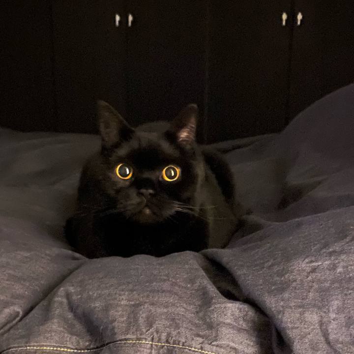 4cbe51e4 2d9a 49cf a432 586e7e641510 1744726683859