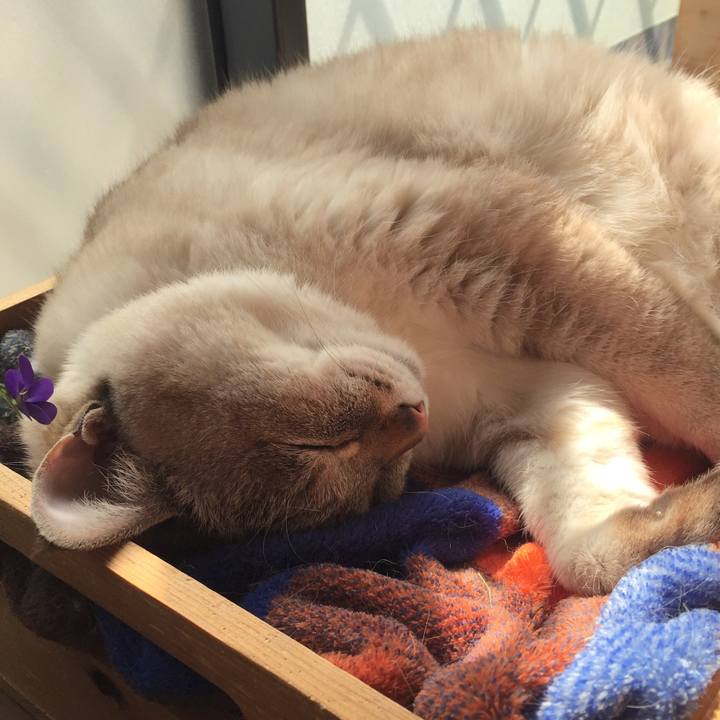 4cbe8832 ce4d 4e39 8ceb 18784e0ce1e8 1552712128062