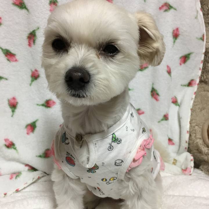 4cbea509 0d52 4d98 bfb5 02ae2458a0a5 1508574422383