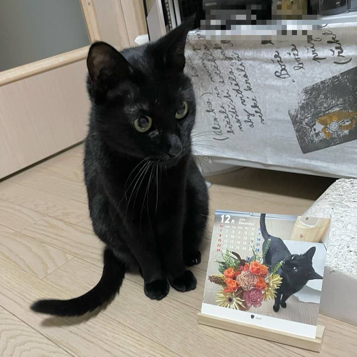 4cbeba1a 444d 402c b2d5 658d1936a016 1735393789505