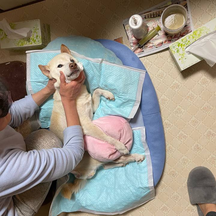 4cbebbbb 54a7 4b85 a2fc 5604e7b1e07c 1677881658107