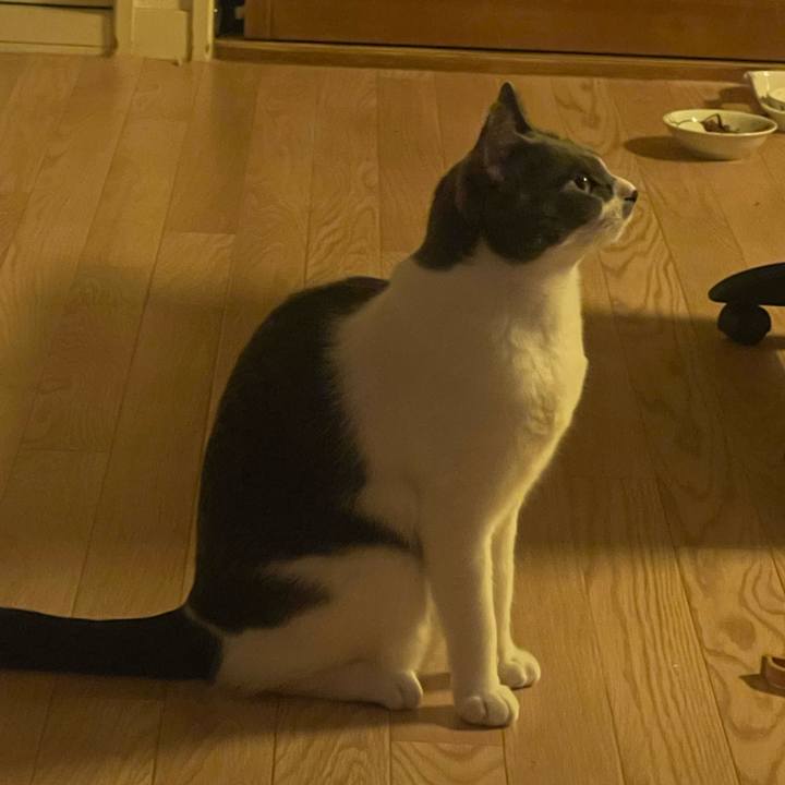 4cbec3cb 43c5 4814 848e 0780800a4bf3 1627910851670