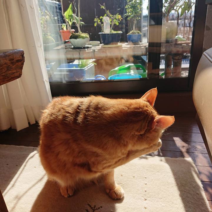 4cbecf3a 66c9 46bc 990d 029aee5878c3 1609295904840