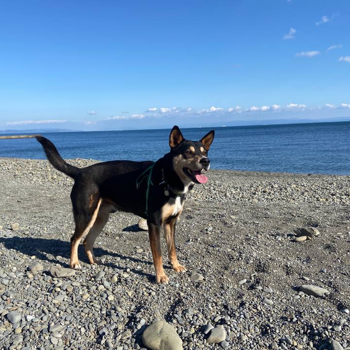 4cbee3e8 70ad 4347 ac1a 263c063c62f3 1644753568712