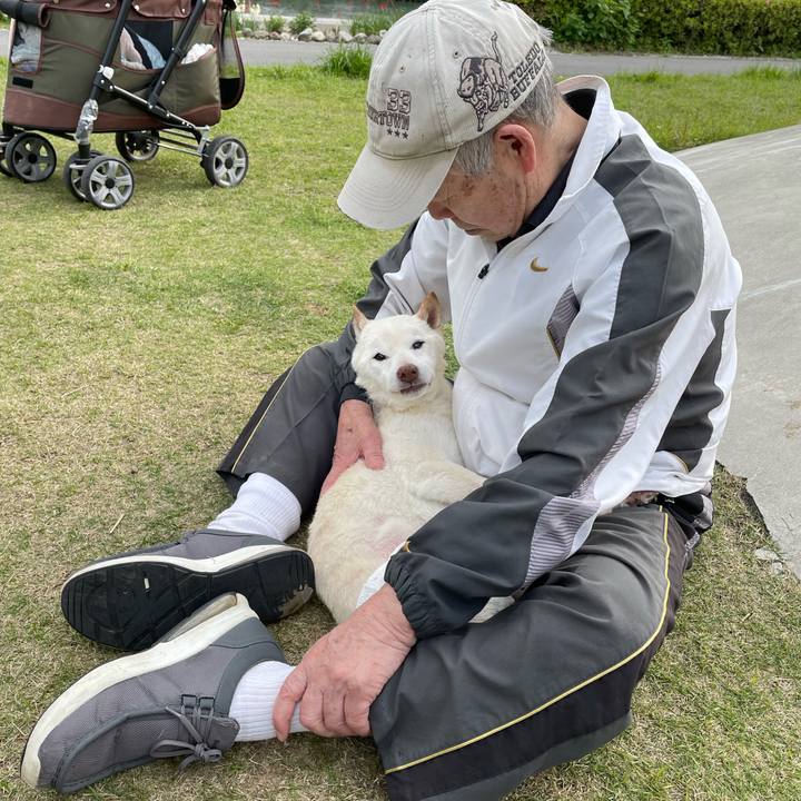 4cbef0c2 d394 478c 885c 2bdbdb25f192 1681213229789