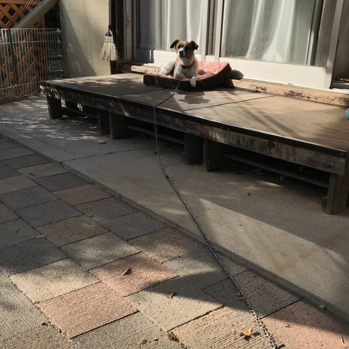 4cbf18f8 4a79 4ca4 afa6 10a02f2ca218 1543133428034