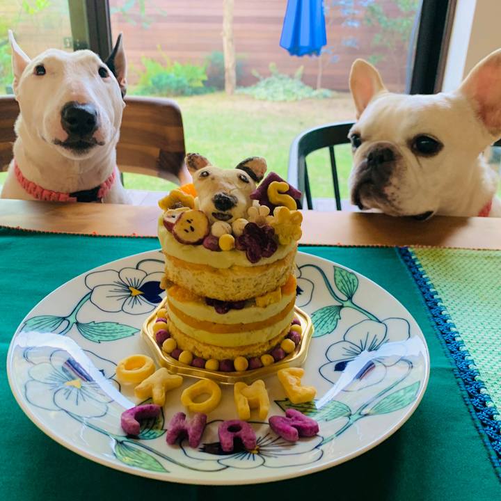 4cbf2aa9 3a3c 4e5f b8aa 52dab8d80bce 1603756649099