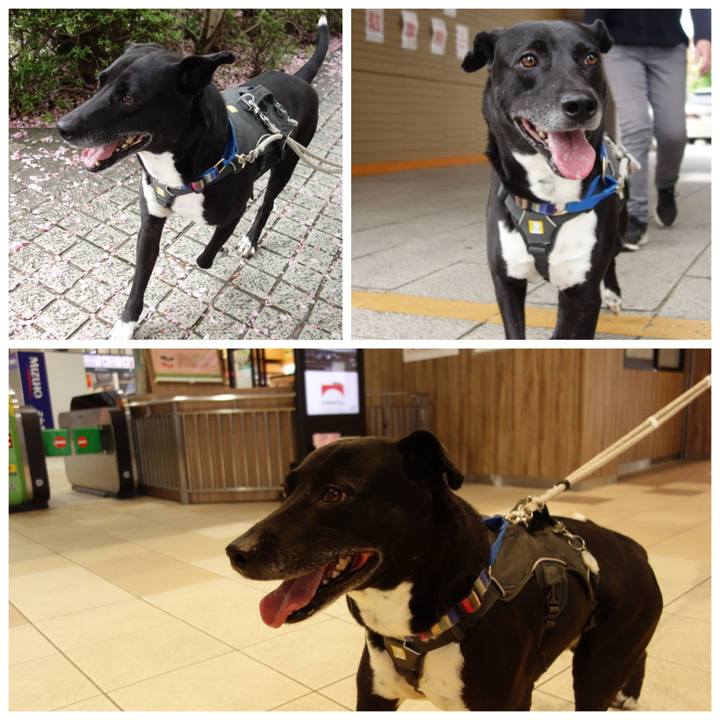 4cbf3267 337d 411f 8bb4 9db5e0f07e87 1650762772842