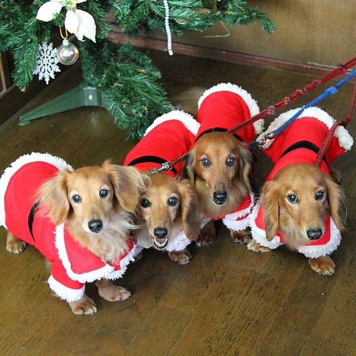 4cbf4e4d 6af1 4d15 82ad 262b7a1b3e97 1763175174624