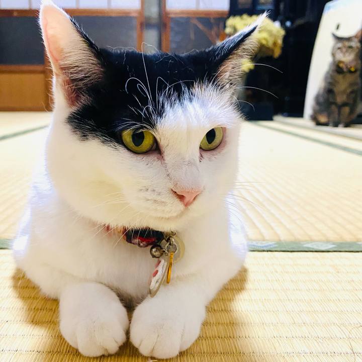 4cbf516a 632d 4870 8139 035b1fc6e79c 1725675698200