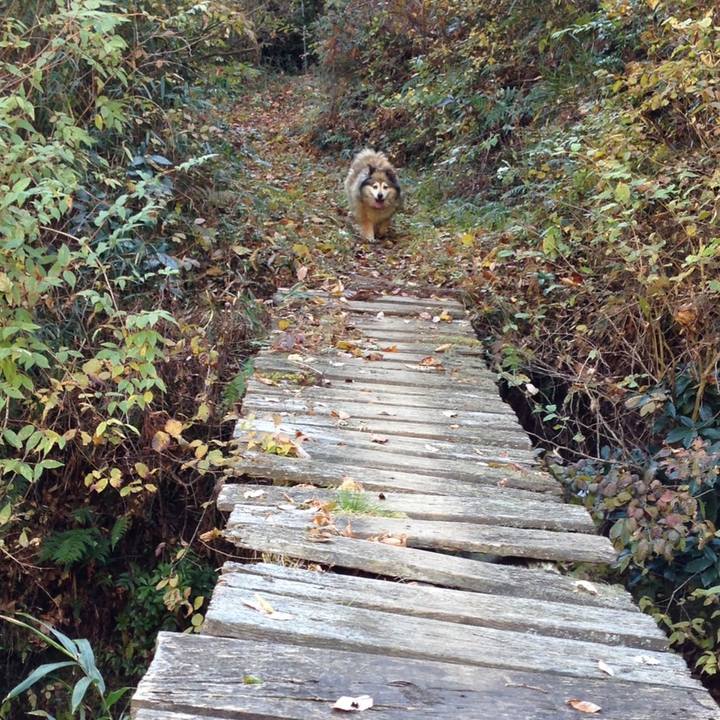 4cbf5e7d 9b62 43f0 a0c3 7cb6148d1b88 1607208773851