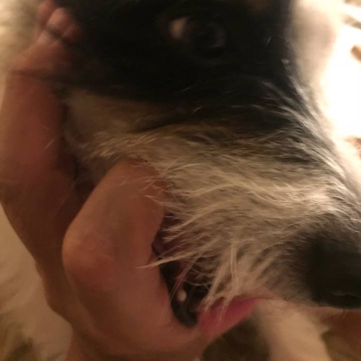 4cbfb9dc 4636 44ae 9f42 35f88ce2bf53 1532869423744