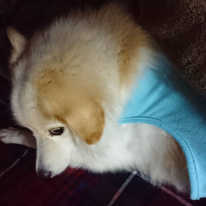 4cbfc516 838f 4ae1 b88e c4881ab589b1 1507839535140