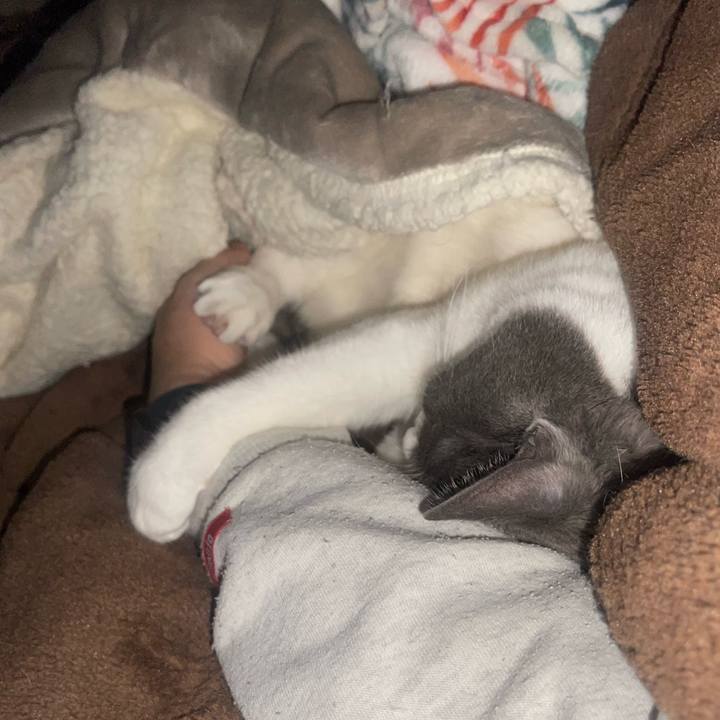 4cbfcb43 7b1f 49db b65a 1d6ecd018a37 1733084991346