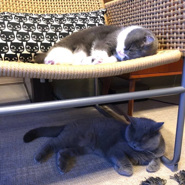 4cc020b8 a2ca 46cd 8fd4 63ed57ee9daa 1591105019202