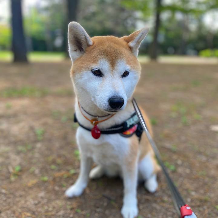 4cc02c15 c6b7 42dc bdec 01a8ff9c7648 1622683834864