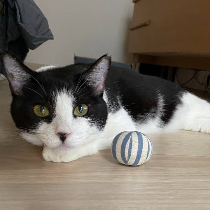 4cc03984 008c 406f 95c9 8957d0b7f9c1 1715250592775