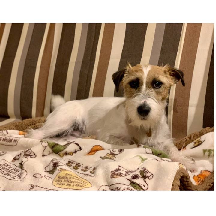 4cc07692 cdfa 4faa a468 0c018632f961 1616333103512