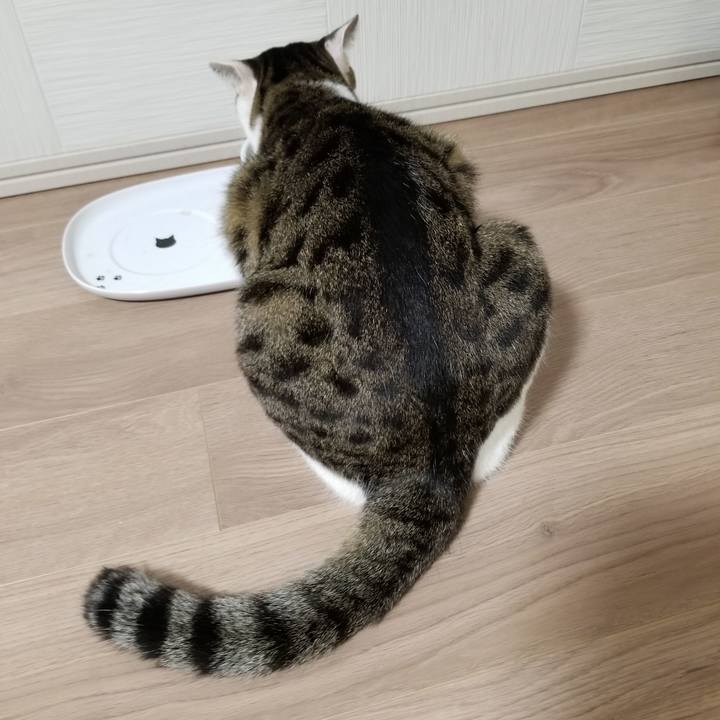 4cc0bd13 a66b 4f3e b954 080367db8867 1601588460260