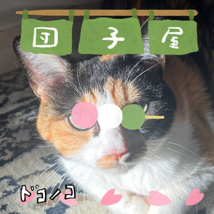 4cc11552 03ac 4bbe 8d42 9bfa20ba3c4e 1712348527416