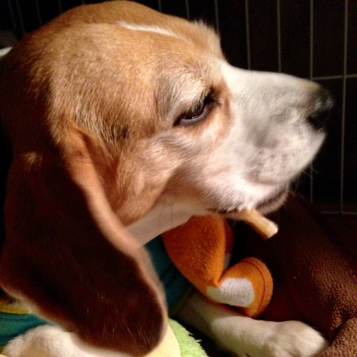 4cc12628 5734 426c 95fc fd2be64ff8c2 1738282438524