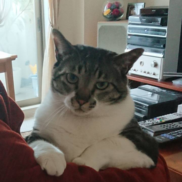 4cc20a99 73a2 418b 9a33 923d4effaa91 1556684683047