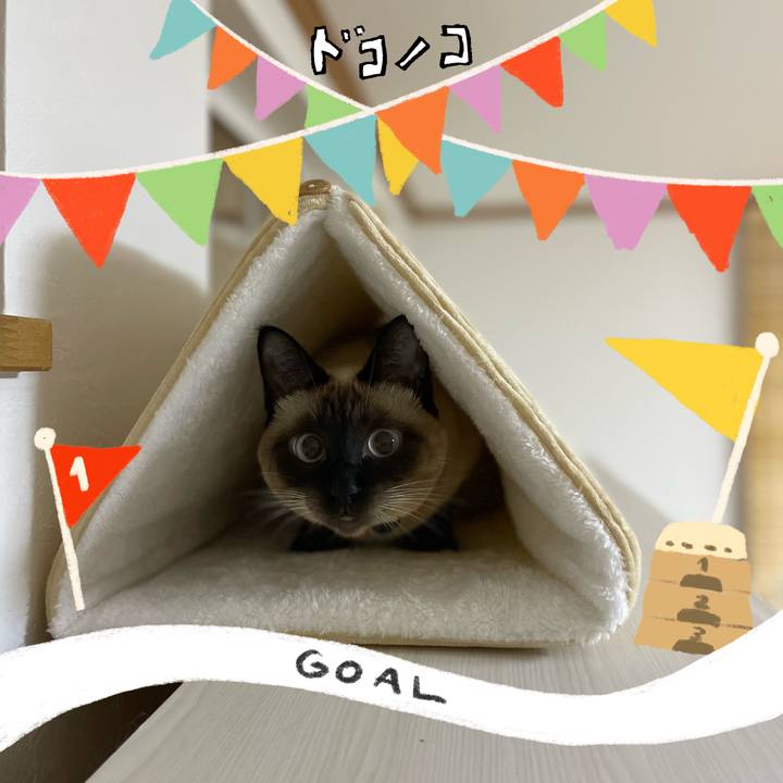 4cc22e27 4c0a 4be3 a144 e80476a64ad5 1729195475151