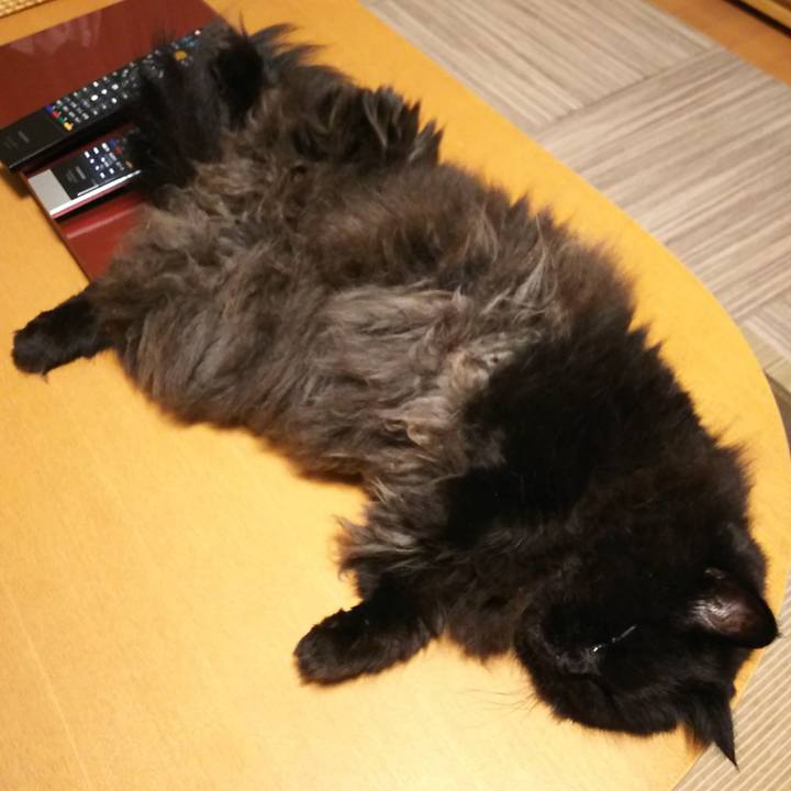 4cc240a5 f306 4f3b 874b 7bf6f801dde4 1565258846161