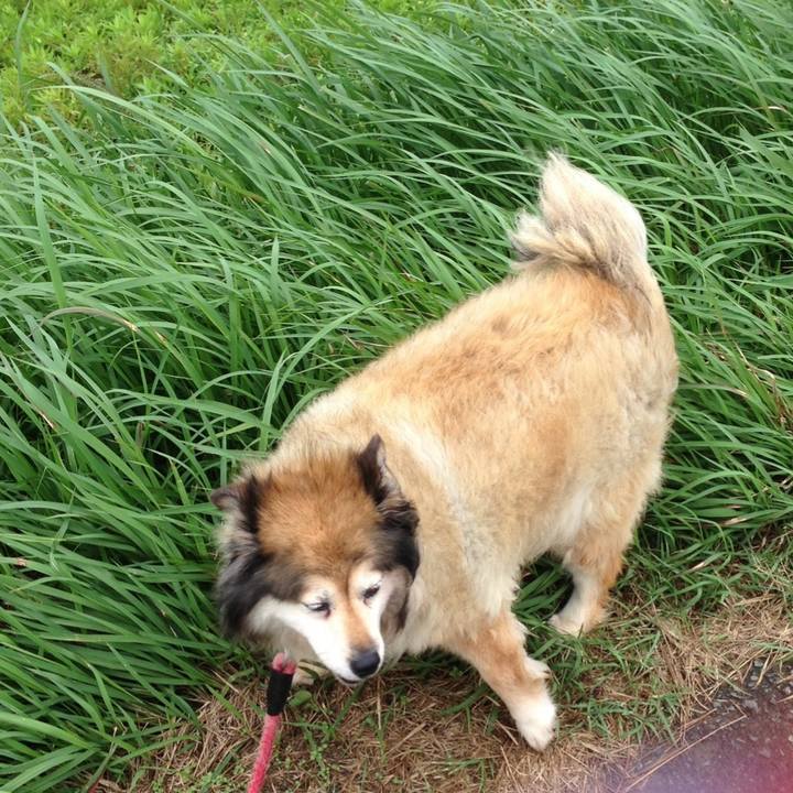 4cc26380 a52d 40d2 8b1c d053e8903584 1562405633734