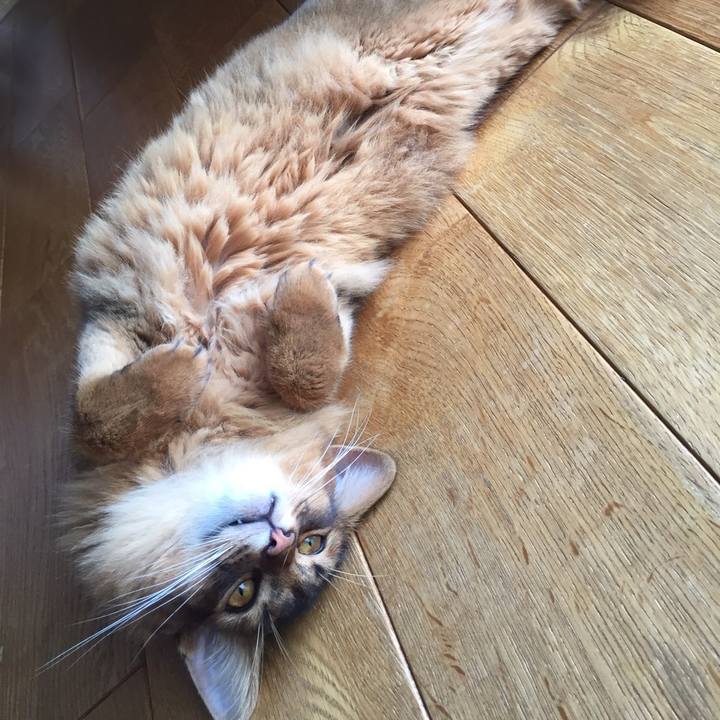 4cc2685f af31 4997 b9b7 63fb9eddaa47 1597324292710