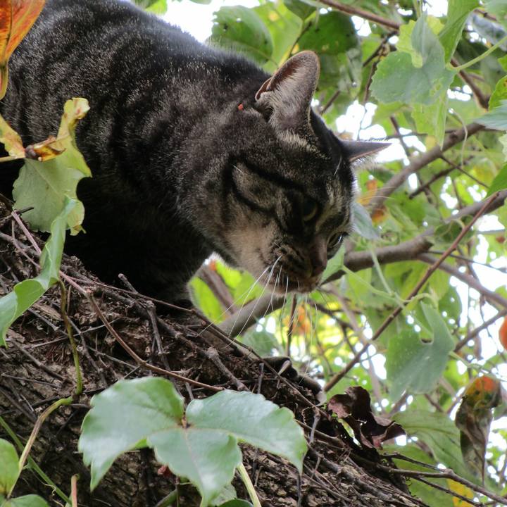 4cc271c5 f986 41a3 9e66 f7f49f8689c6 1508740074324