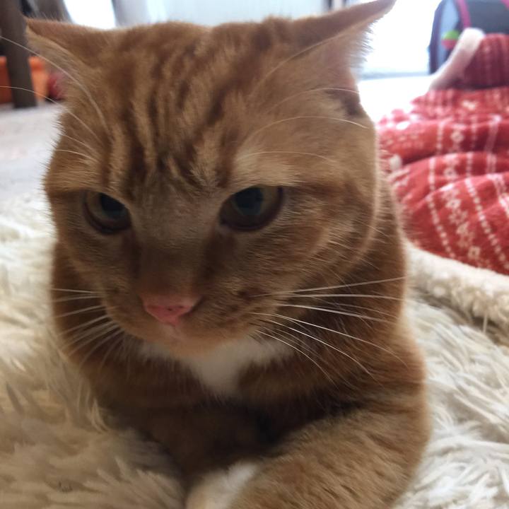 4cc29069 a4e0 4b33 9d38 c210c33f07e4 1547511112103