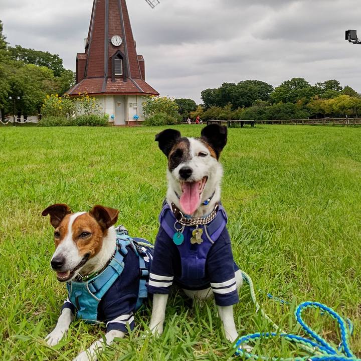 4cc2a73f 3270 48bb 8732 13376df5a60c 1662193004552