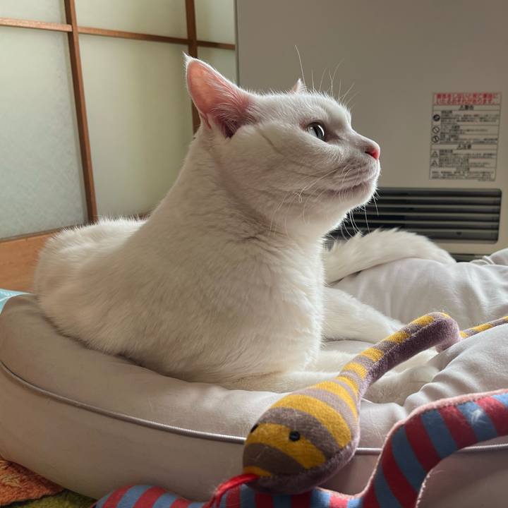 4cc31815 5f92 4511 a782 58365fdda060 1734189899187