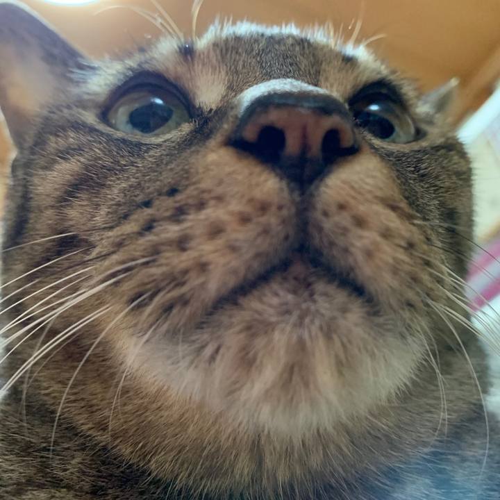 4cc31edd 7f90 455d 9086 8b8a354d1fd1 1544838632076