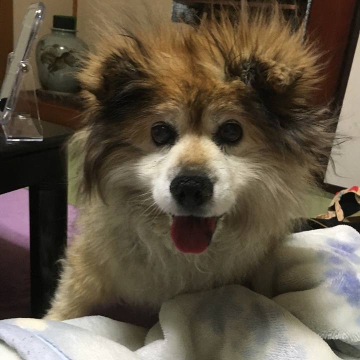 4cc324f1 d7cb 4f39 8814 e744de240409 1570279108392