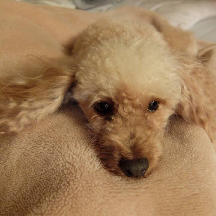 4cc34d73 71d6 4db3 8e17 e2e9d9e4cb26 1507806418296