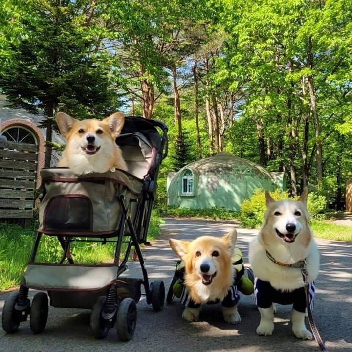 4cc352e1 d773 498c 8ad4 1546217d2ff2 1653835140344