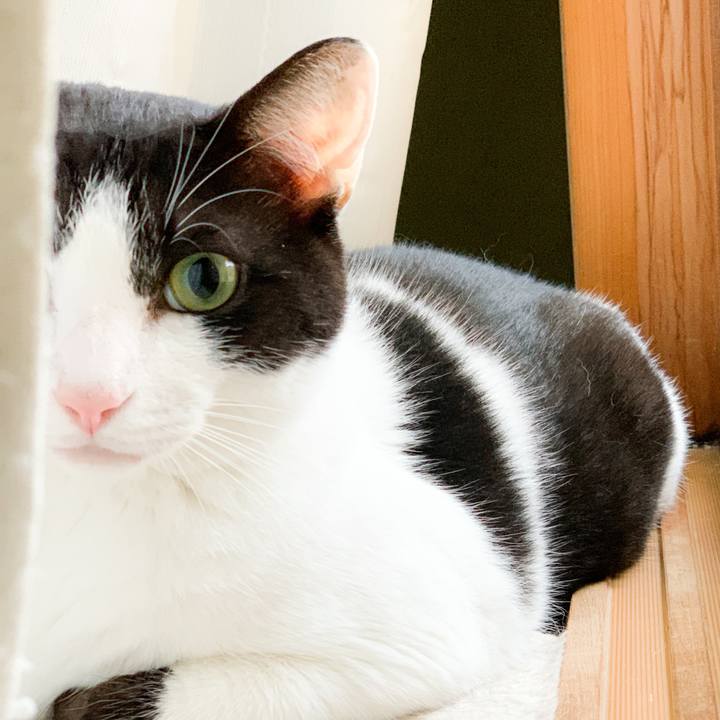 4cc3898f a4c9 44d9 8596 d577eb223f92 1569893328438