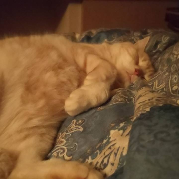 4cc3a500 e876 4d6d a71c 0d7fc31dc279 1546771244195