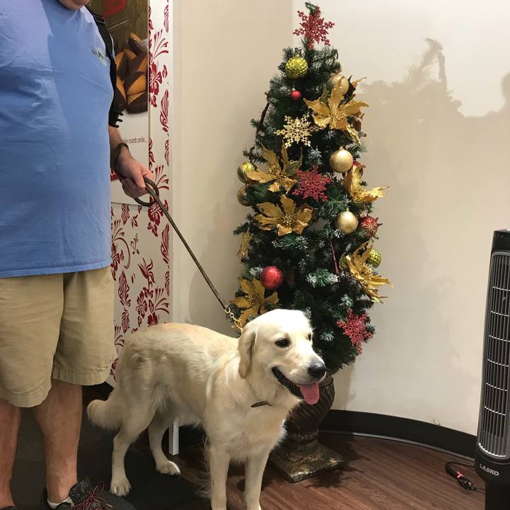 4cc3a918 4b5a 4a41 a31f 3b42c12ced7a 1513915991455