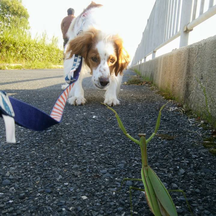 4cc3afbb e754 413c a160 9af5622c2e4c 1539429293856