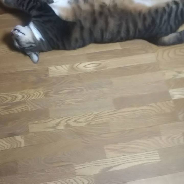 4cc3de2a c6e0 4134 84d3 f75d9e5cc8d4 1626102120672