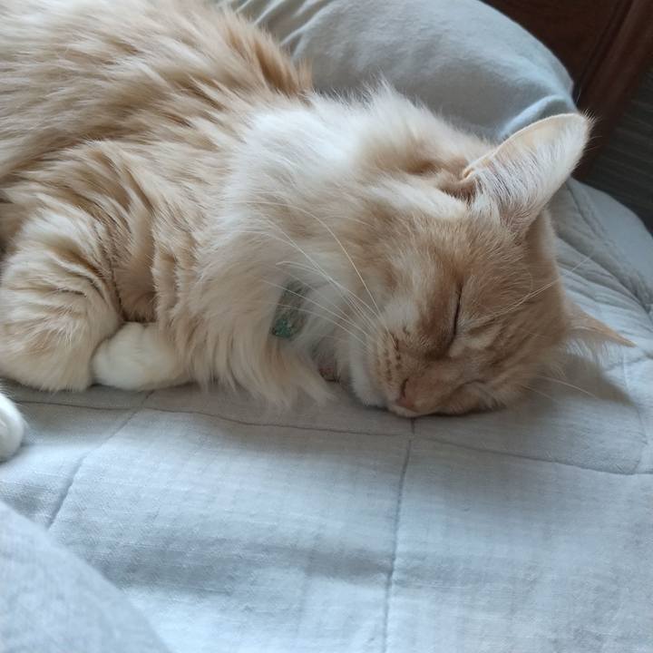 4cc3ede1 81b2 42fc 88ef 5fe9c1bf0711 1647047044375