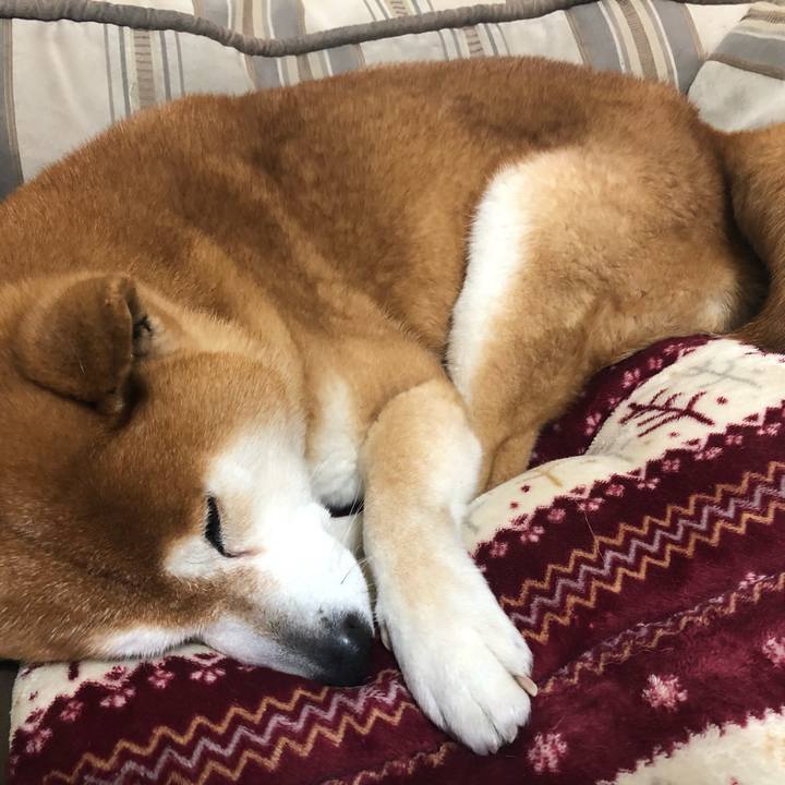 4cc3f1bd 79de 4c1a a96a 2674717b4497 1555155779194