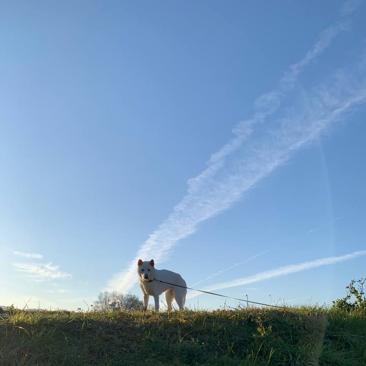 4cc3f80b 8296 482d bd4b d1c92dccfe77 1578750914195