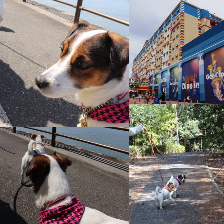 4cc3fdde fb3d 4498 8e59 0fc98895ceb5 1521887061849